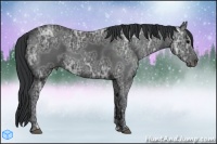 Horse Color:Black Ice 
