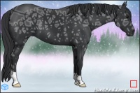 Horse Color:Black Ice 