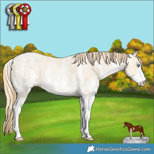 Horse Color:Smoky Black Pearl Sabino 