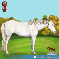 Horse Color:Smoky Black Pearl Sabino