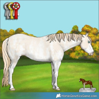 Horse Color:Smoky Black Pearl Sabino