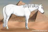 Horse Color:Gray Black 