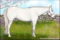 Horse Color:Smoky Creme Roan 