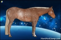 Horse Color:Chestnut Rabicano 