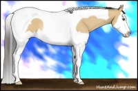 Horse Color:Buckskin Dun Splash Tobiano