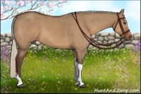 Horse Color:Silver Bay Dun Tobiano