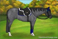 Horse Color:Blue Roan