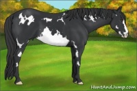 Horse Color:White Spotted Black Frame 