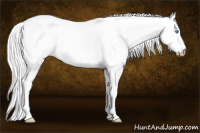 Horse Color:Gray Perlino Roan Tobiano Rabicano
