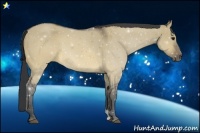 Horse Color:Buckskin Dun