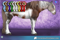 Horse Color:Liver Chestnut Tobiano Frame 