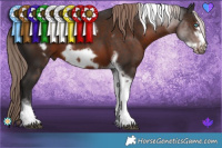 Horse Color:Liver Chestnut Tobiano Frame 