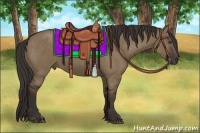 Horse Color:Liver Red Dun