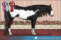 Horse Color:Liver Chestnut Ice Frame 