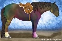 Horse Color:Liver Chestnut Frame 