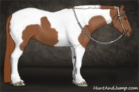 Horse Color:Chestnut Tobiano 