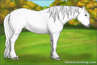 Horse Color:Gray Black Splash Tobiano 