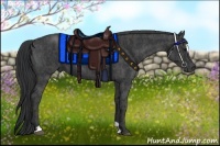 Horse Color:Black Sabino Rabicano  Brindle