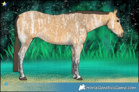 Horse Color:Buckskin Ice 