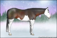 Horse Color:Brown Splash