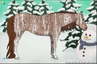 Horse Color:Chestnut Ice 