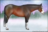 Horse Color:Brown Splash