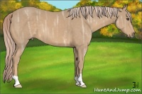 Horse Color:Palomino Ice 