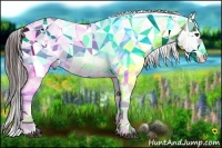 Horse Color:Brown Appaloosa Rabicano Brindle