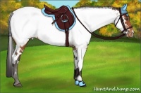Horse Color:White Spotted Brown Near Fewspot Rabicano  Brindle