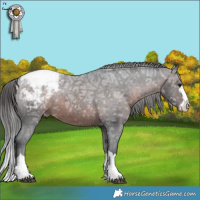 Horse Color:Brown Ice Varnish Rabicano  Brindle
