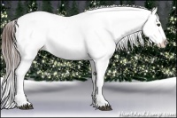 Horse Color:White Spotted Brown Ice Frame Appaloosa Rabicano  Brindle