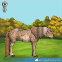 Horse Color:White Spotted Bay Frame Varnish Rabicano  Brindle