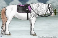 Horse Color:Sable Champagne Tobiano Appaloosa Rabicano Brindle