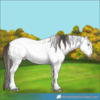 Horse Color:White Spotted Brown Ice Frame Appaloosa Rabicano  Brindle