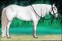 Horse Color:White Spotted Liver Chestnut Pearl Splash Frame Blanket Rabicano  Brindle