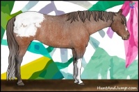 Horse Color:Brown Snowcap Rabicano  Brindle