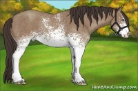 Horse Color:White Spotted Classic Champagne