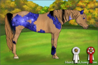Horse Color:ERROR: UNKNOWN ANOMALY Brindle