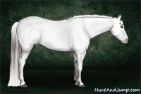 Horse Color:White Spotted Brown Splash Frame Snowcap Rabicano  Brindle