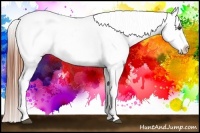 Horse Color:White Spotted Brown Frame Appaloosa Rabicano  Brindle