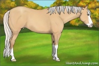 Horse Color:Silver Amber Champagne Splash