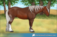 Horse Color:Silver Bay Tobiano 