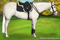 Horse Color:Cremello Dun 