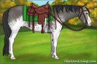 Horse Color:White Spotted Grullo 