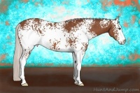 Horse Color:White Spotted Silver Bay 