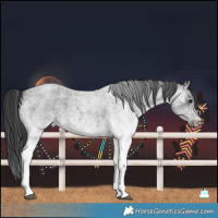 Horse Color:White Spotted Blue Roan Rabicano Brindle
