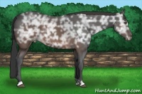 Horse Color:Brown Ice 