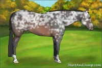 Horse Color:Brown Ice 