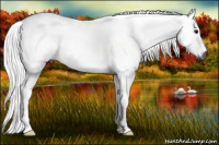 Horse Color:Gray Smoky Blue Roan Rabicano