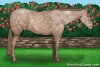 Horse Color:Black Ice Pearl